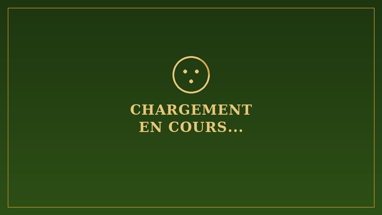 Chargement de la vidéo...